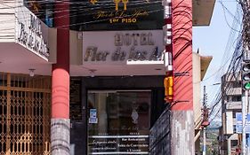 Flor de Los Andes
